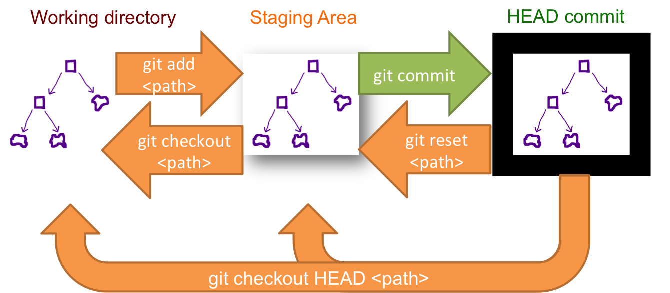 Git workflow: working directory → staging → commit using add, commit, reset, and checkout.
