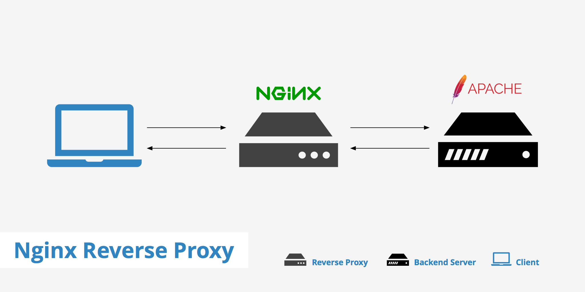 nginx as reverse proxy